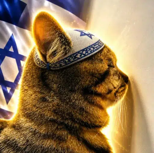JewCat