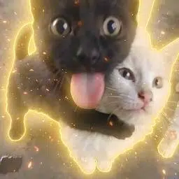 H&H