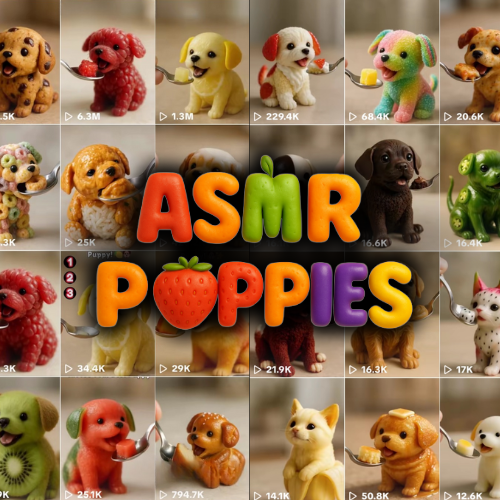 ASMR Pups