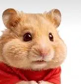 Theodor
