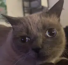 o_O