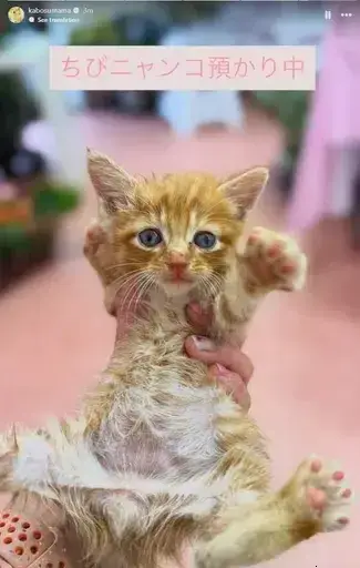 MUKU