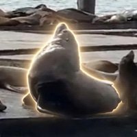 CHONKERS