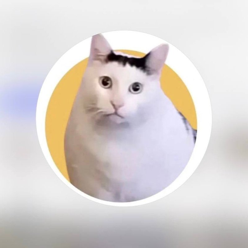 HUHCAT