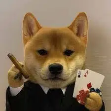 CASINU