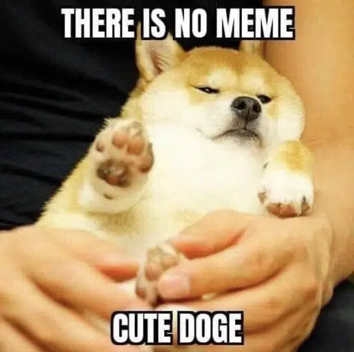 ILY