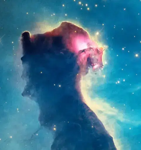 $SPACECAT token logo