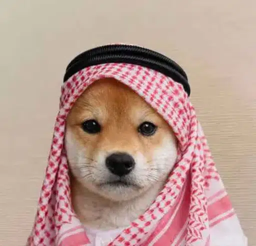 Inushallah