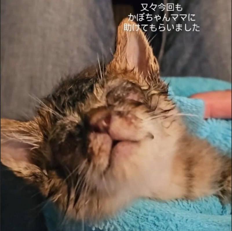 CATE⁠