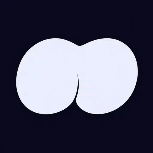 Asset