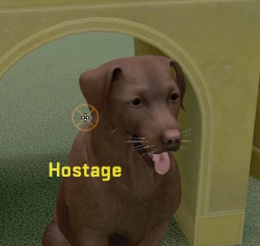 Hostage