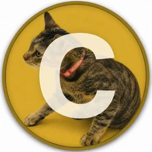 CATE — Catecoin Solana token traded by KOLs