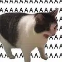 aaaaa