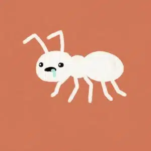 ant