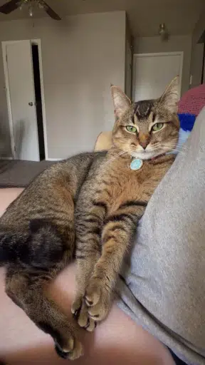 Rosie
