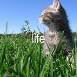 life