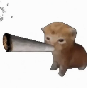 catpiss