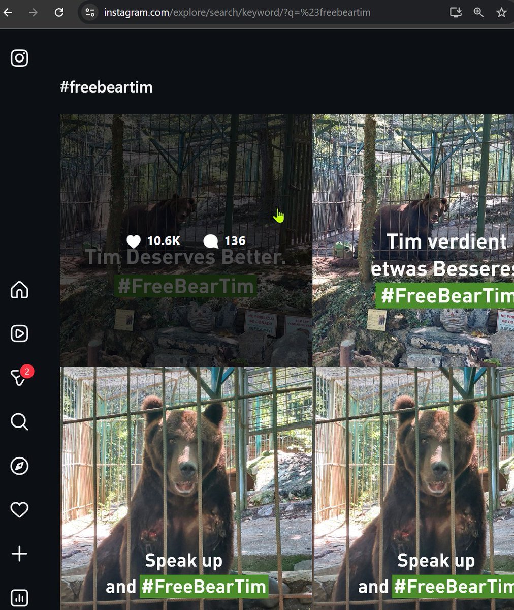 TIM