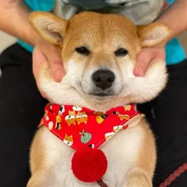 豆花
