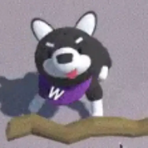 $goHusky token logo