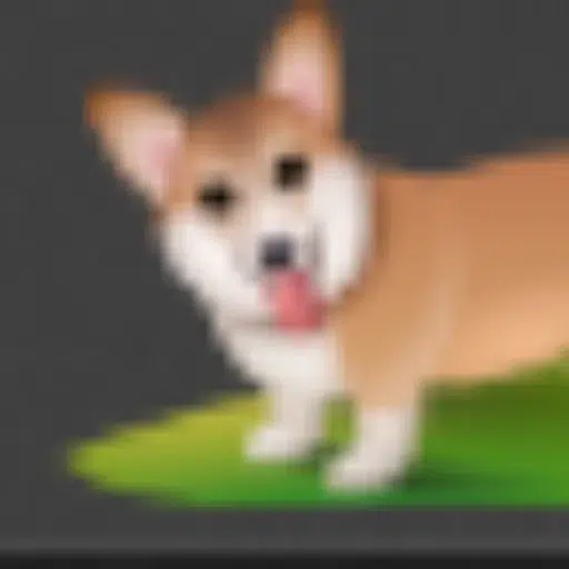 WINDOGE
