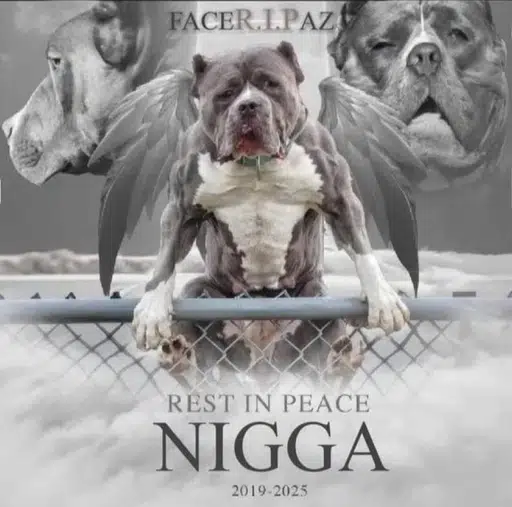 NIGGA