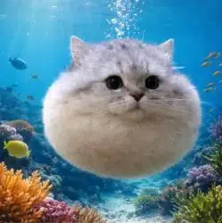 Namazu