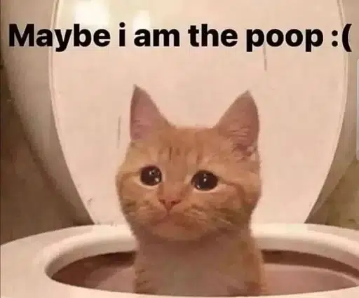 poopcat