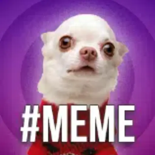 #meme