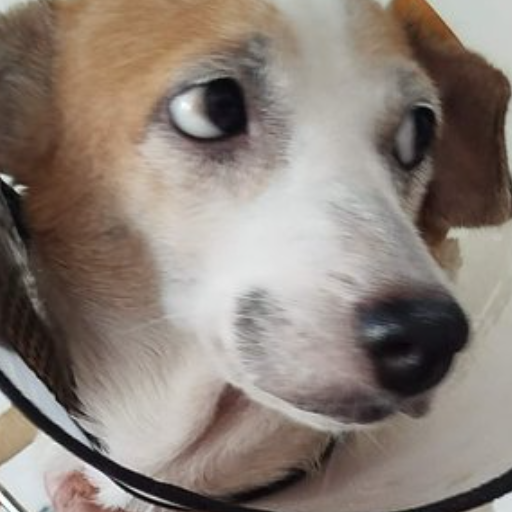 SAMANTHA