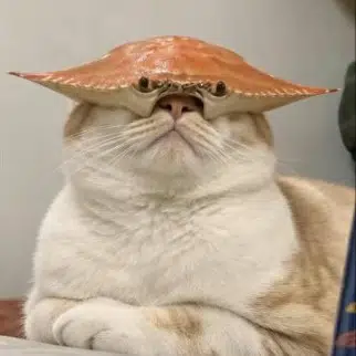 crabhat
