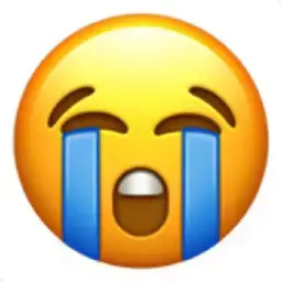 😭