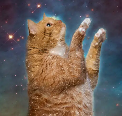 ZARATHUSTRA