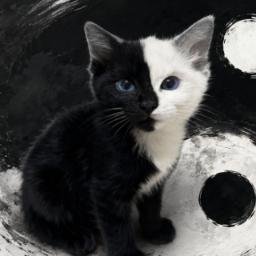 YINGYANG