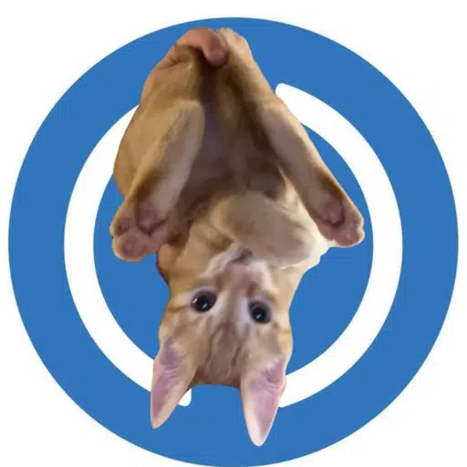USDC