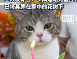 叨乐