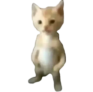 MIGUEL