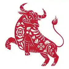 bull