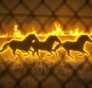 HORSES
