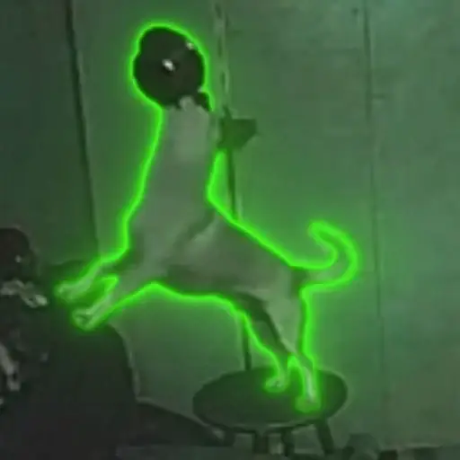 BONK
