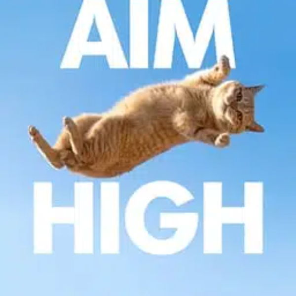 HIGH