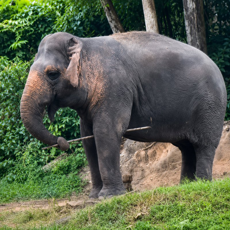 Khamphong