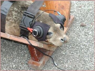 spaceXseal