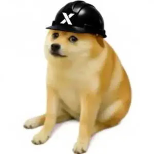 cashdog