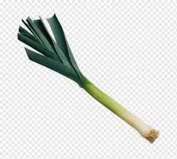 LEEK