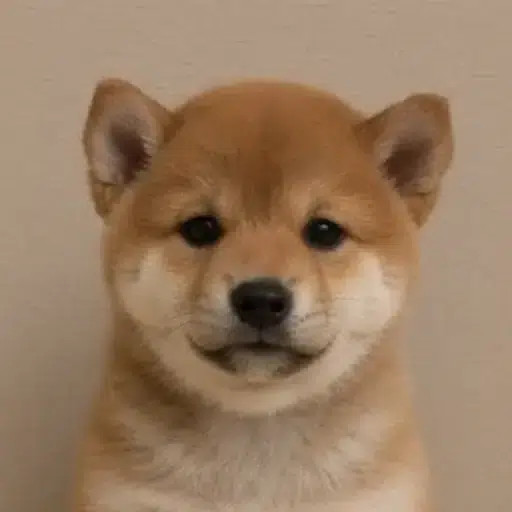 犬