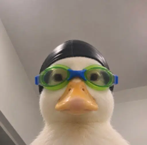 NASDUCK