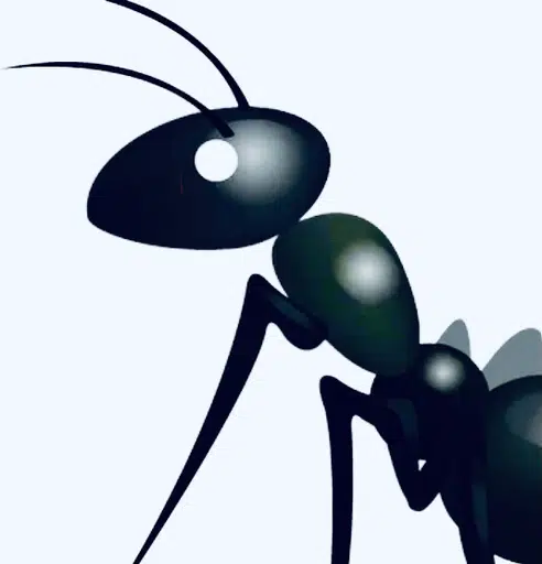 ANT