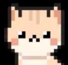 Lint