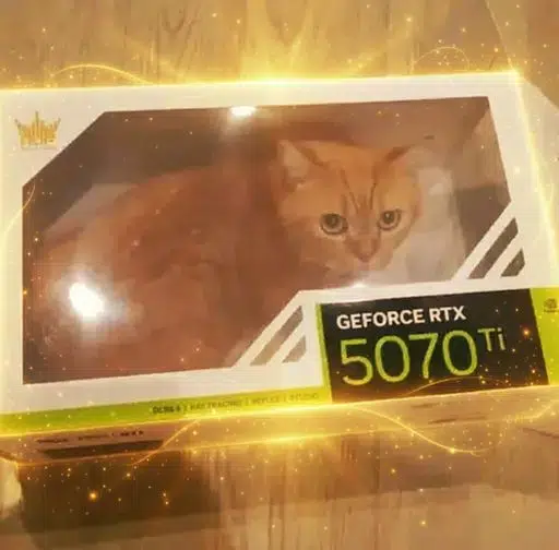 GPU